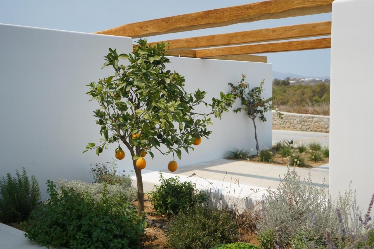 Alio Naxos Luxury Suites อายิโอส ยอร์ยิโอส ภายนอก รูปภาพ