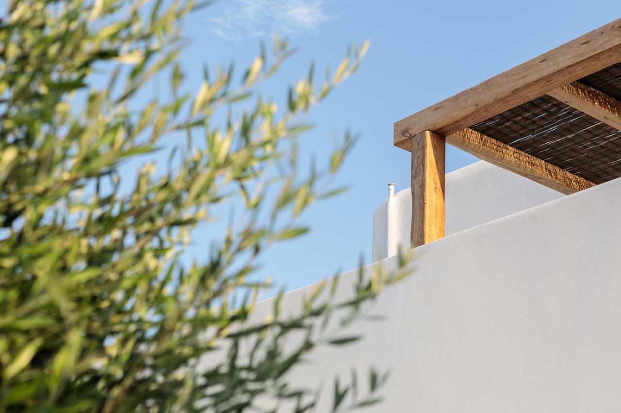 Alio Naxos Luxury Suites อายิโอส ยอร์ยิโอส ภายนอก รูปภาพ