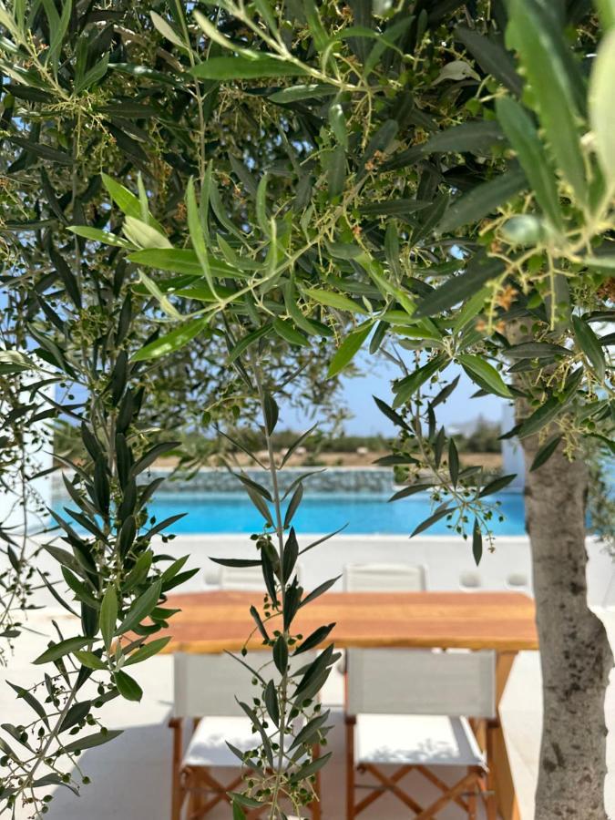Alio Naxos Luxury Suites อายิโอส ยอร์ยิโอส ภายนอก รูปภาพ