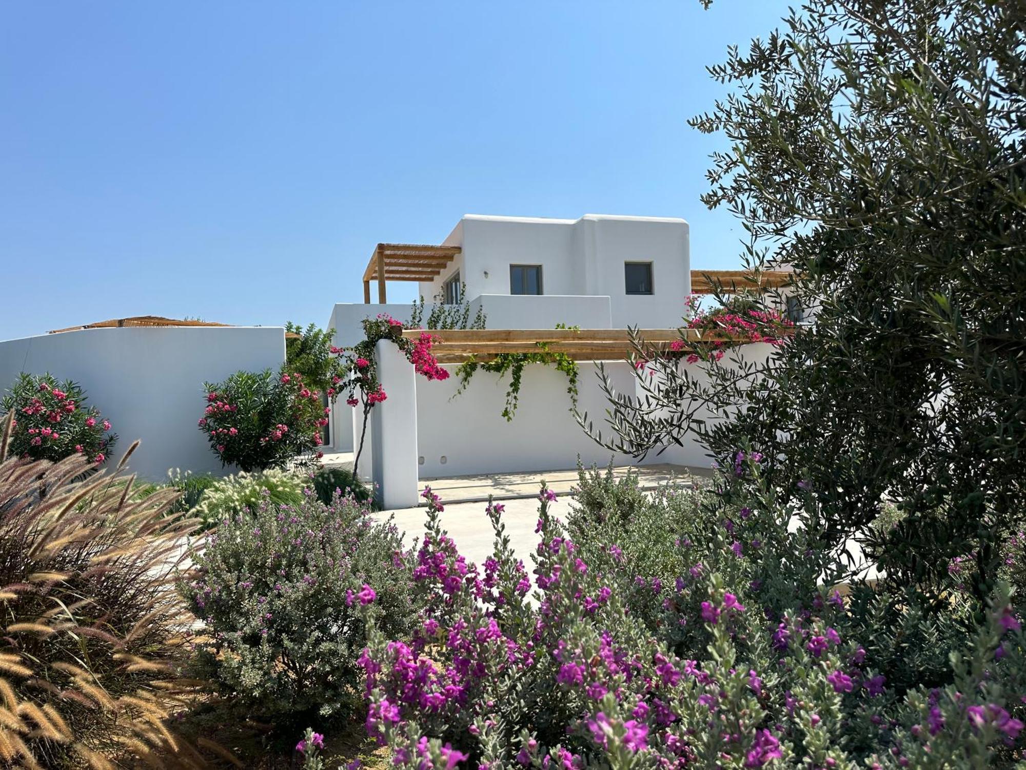 Alio Naxos Luxury Suites อายิโอส ยอร์ยิโอส ภายนอก รูปภาพ