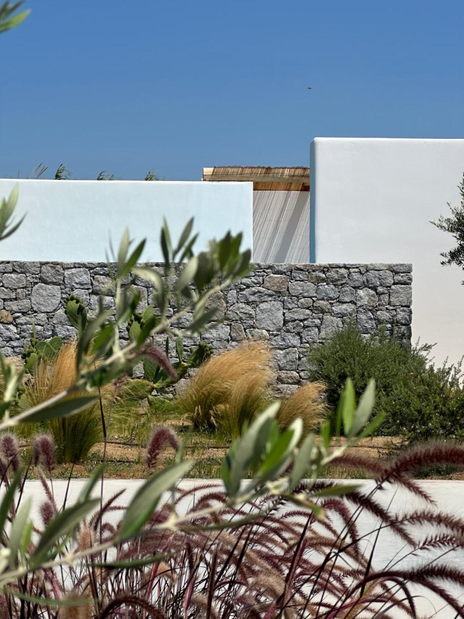 Alio Naxos Luxury Suites อายิโอส ยอร์ยิโอส ภายนอก รูปภาพ