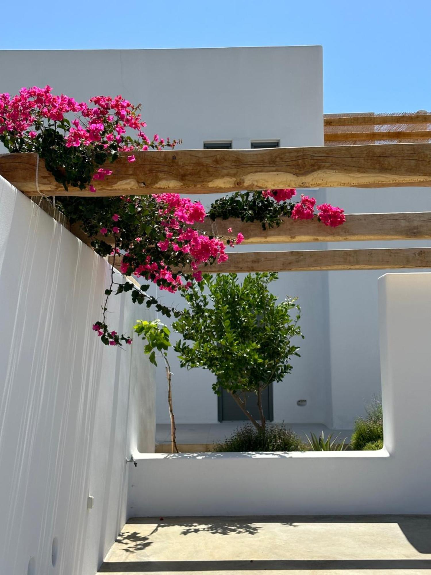 Alio Naxos Luxury Suites อายิโอส ยอร์ยิโอส ภายนอก รูปภาพ