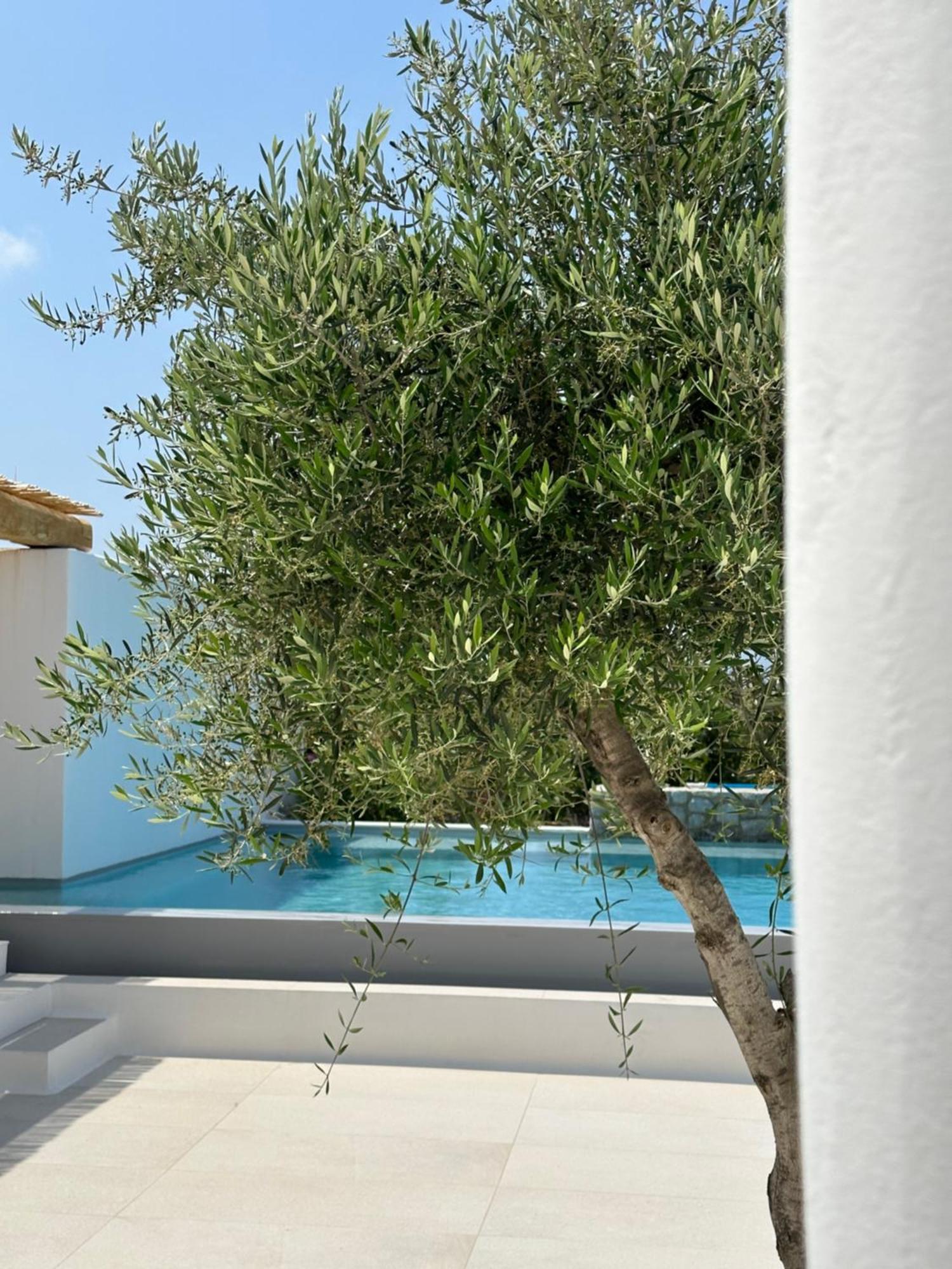 Alio Naxos Luxury Suites อายิโอส ยอร์ยิโอส ภายนอก รูปภาพ