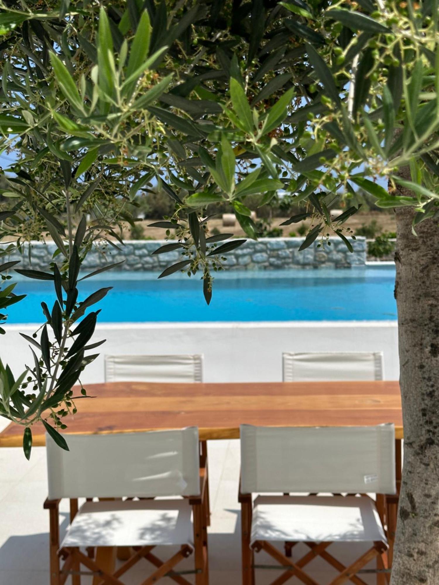 Alio Naxos Luxury Suites อายิโอส ยอร์ยิโอส ภายนอก รูปภาพ